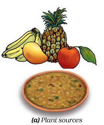 Figure shows Some Fruit items  such as apple, Banana, pineapple and mango, and a plate full of oopma and  green chilli. Figure described by Dr T K Bansal.