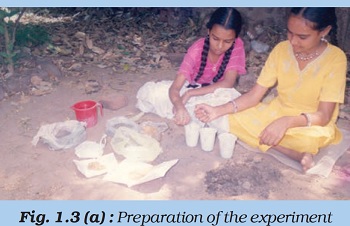 figure shows that two girls are sitting on the floor and prepare the seeds for experiment. they puting some dust and seeds in a glass togather and leave for some days. 