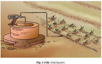 Figure shows a Drip irrigation is sometimes called trickle irrigation and involves dripping water onto the soil at very low rates (2-20 litres/hour) from a system of small diameter plastic pipes fitted with outlets called emitters or drippers.