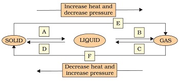  Figure 1.10A