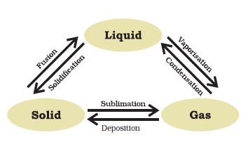  Figure 1.9